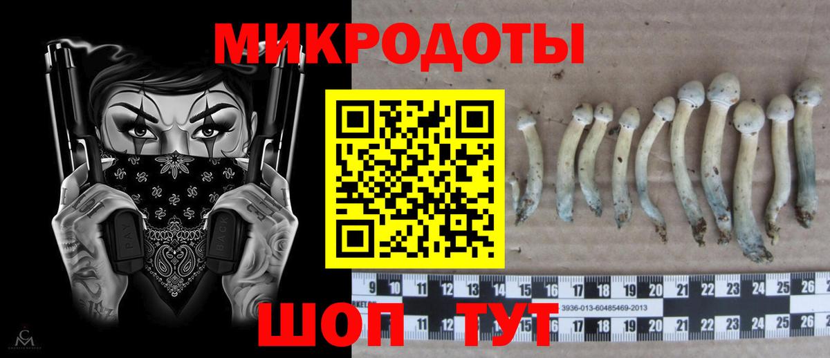 Псилоцибиновые грибы ЛСД Томск