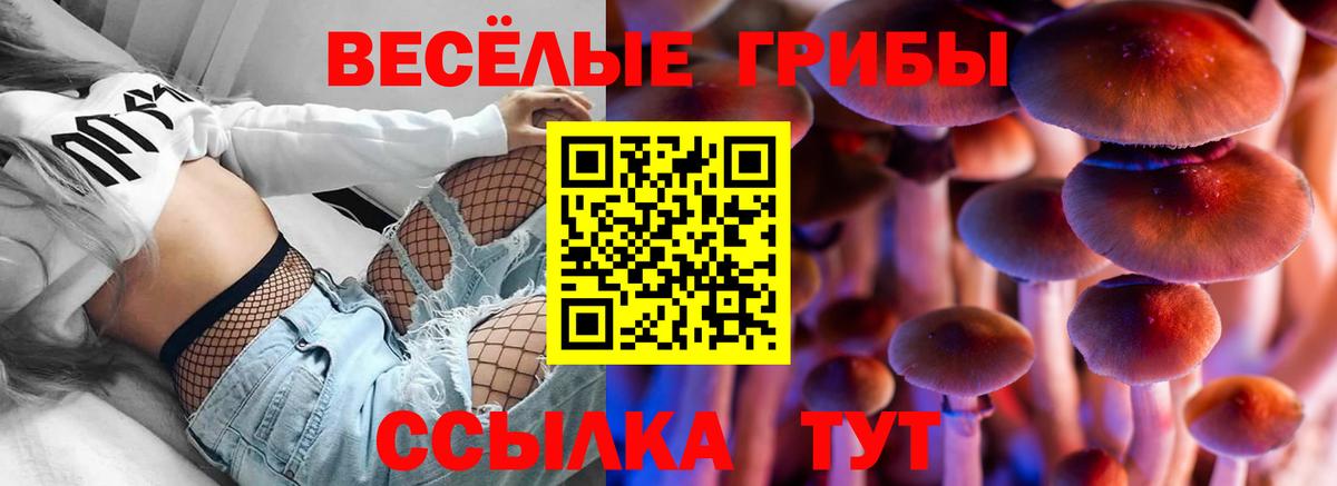 Томск  Бошки Шишки  Вход с VPN  Канабис  ГАШ  МЕФ   Кокаин 