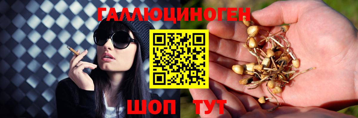 Томск  Галлюциногенные грибы Psilocybine cubensis  Галлюциногенные грибы мухоморы  Вход с VPN 